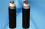 Cáp Điện Hạ Thế Có Giáp Băng Nhôm Bảo Vệ CVV-DATA * Cadivi